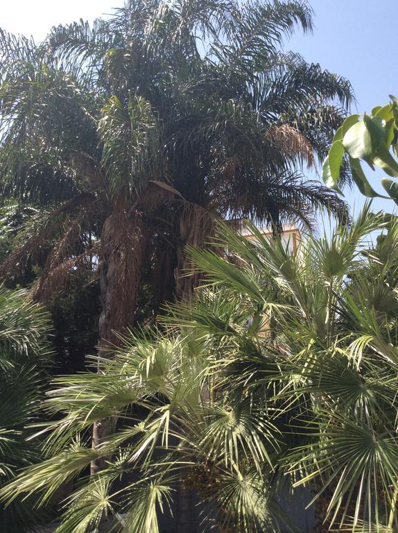 Ucciardhome Hotel Palermo Kültér fotó